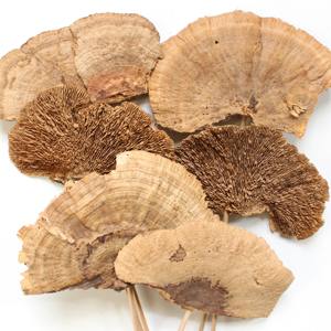 Hongos secos a granel a precio asequible, directo de origen, suministro de hongos secos de excelente sabor para la demanda del mercado - Product Image 6