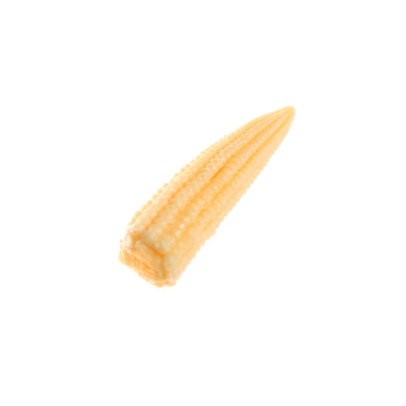 Air Dried Non GMO White Corn / white corn grains cheap price Fresh Stock New Farm