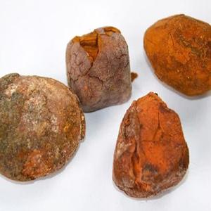 Proveedor Confiable de Cápsulas de Vejiga de Ganado Seca al por Mayor, Bolsas de 25 kg, Calidad Premium, Entrega Rápida a Todo el Mundo para Necesidades Empresariales - Product Image 6