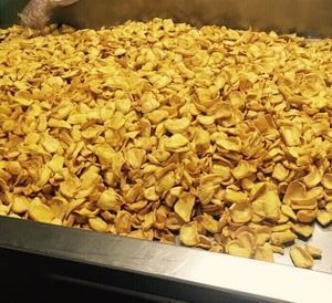 Jackfruit séché en gros du Vietnam, collation naturelle et sucrée, approvisionnement en gros de jackfruit séché avec un goût de qualité pour les acheteurs mondiaux - Product Image 1