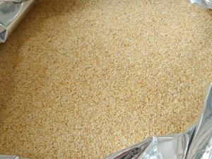 Bubuk bawang putih kering kualitas tinggi musim baru terbuat dari bubuk bawang putih kering kering dari pabrik Xuanyi - Product Image 4