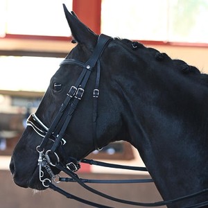 Équipement de cheval en cuir bride Origine dressage anatomique double bride saisonnière - Product Image 5
