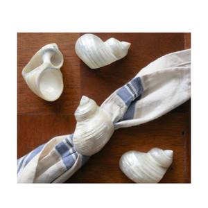 แหวนผ้าเช็ดปากเปลือกหอยทำจากเปลือกหอยธรรมชาติสำหรับตกแต่งโต๊ะแต่งงานหรูหราทำด้วยมือในเวียดนาม - Product Image 6