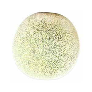 Cantaloup frais ferme de qualité supérieure saveur juteuse douce cantaloup frais pour vrac vente en gros meilleur prix du marché disponible - Product Image 2
