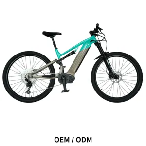 OEM/ODM 48V 350W Aluminium Frame MTB E-Bike 48V 350W Electric Hybrid Bike