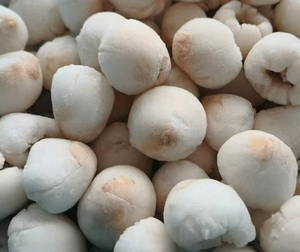 Litchi congelé Exportateur du Vietnam Litchi pelé IQF Qualité supérieure prêt pour usage culinaire et au détail - Product Image 1