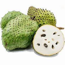 URENSA CONGELADA DE CALIDAD PREMIUM, PECHOS DE FRUTA PURA, ETIQUETA LIMPIA, FUENTE NATURAL A BASE DE PLANTAS, APOYO INMUNE - Product Image 3