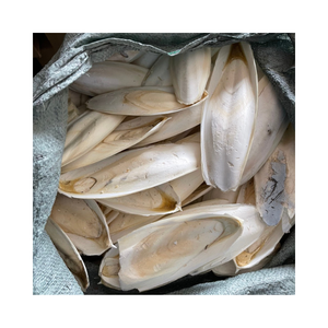 Os de seiche séché à haute teneur en calcium pour perroquets: qualité supérieure, emballé OEM et prêt pour l'exportation - Product Image 1