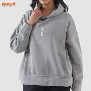 Sweat à capuche surdimensionné imprimé personnalisé 100% coton mélangé basique unisexe Streetwear pull sweat pour l'hiver broderie 3D - Product Image 2