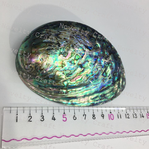 Cuenco de nácar de concha de abulón Natural Real de alta calidad con esmalte brillante para el hogar o el café, fregona, cocina, ensaladera para servir - Product Image 3