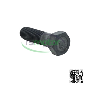 Perno Hexagonal de Alta Calidad para Motor, Pieza de Repuesto de Alta Precisión, Piezas de Fijación MWM RS-01144465 - Product Image 5