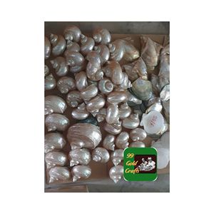 แหวนผ้าเช็ดปากเปลือกหอยขัดมันแบบพรีเมียมทำมือไม่เหมือนใครอุปกรณ์เสริมสำหรับงานหัตถกรรมพิเศษจากเวียดนาม - Product Image 4