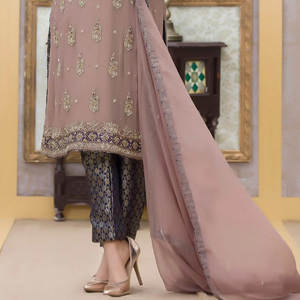 Última moda paquistaní indio fiesta desgaste vestido de novia 2025 nueva llegada mujeres Shalwar Kameez en el mejor precio - Product Image 6