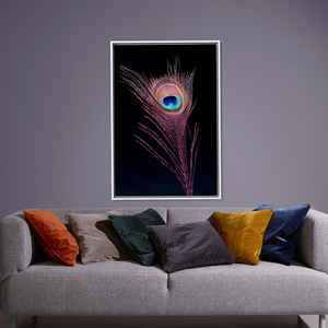 Toile imprimée élégante avec motif de plumes de paon pour la décoration de la maison, encadrée en blanc - Product Image 1