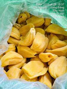 Vainas de Jaca congeladas de pura dulzura cosechadas maduras de Vietnam peladas sin semillas - Product Image 5