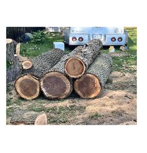 Bûches de noyer pour la fabrication de dalles à bords naturels et de meubles sur mesure, diamètre de 6 à 12 pouces, longueurs de 2 à 8 pieds, avec étiquettes de suivi RFID - Product Image 5
