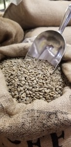 Granos de Café Verde Arábica de Vietnam, Tamaño 16, 100% Natural, Grado G1/G2, Certificado ISO 22000, 98% de Maduración, Paquete de 1000 kg - Product Image 5