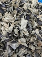Lucht Gedroogde Zwarte Schimmel Paddestoel Schoon Veilig En Gezond Voedsel Uit Vietnam