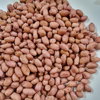 Kacang Tanah Mentah Kering Sortex GMO Grade A Kualitas Premium 1kg Umur Simpan 24 Bulan Grosir Ekspor Malaysia