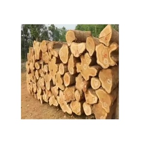 Bûches de bois Bilinga de haute qualité pour les projets de menuiserie Solution de vente en gros rentable - Product Image 3
