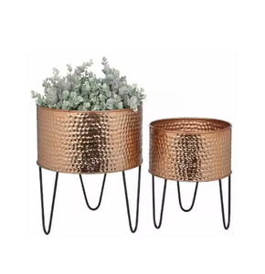 Jardinières de luxe en forme de poisson avec jardinières modernes élégantes et de qualité supérieure Pots Vaisselle Jardinières de décoration intérieure - Product Image 2