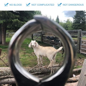 Pince à castration professionnelle Burdizzo avec manche en bois Dispositif pour castration Burdizzo pour castration sans effusion de sang des taureaux - Product Image 2