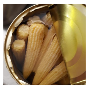Maíz Bebé Enlatado al por Mayor, 15 oz x 24 Latas, Origen Vietnam, Trozos de Maíz Bebé Dulce Enlatado, Maíz Joven al Vapor en Almíbar Salado - Product Image 5