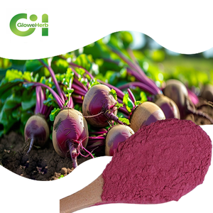 Cao cấp Hữu Cơ củ cải đường bột-tinh 100% tự nhiên củ cải chiết xuất từ rễ cho năng lượng & sức khỏe - Product Image 1