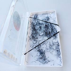 Nouveau et chaud Style coréen Pbt Fiber 1000 Box 0.03mm à 0.20mm 4D ventilateurs de Promade en vrac fabriqués au Viet Nam - Product Image 4