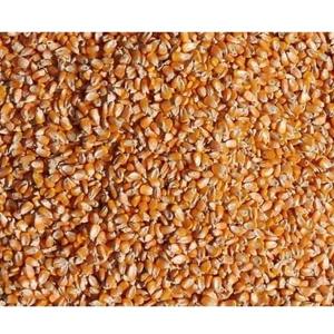 Granos de Maíz Amarillo Secos de Alta Pureza para la Industria Alimentaria y Alimentación Animal, Disponibles en Pedidos para Socios Comerciales Globales - Product Image 6