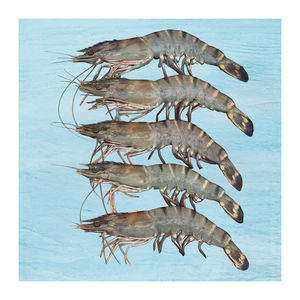 Crevettes tigrées noires surgelées de haute qualité HLSO, approvisionnement en vrac avec emballage de qualité export pour les acheteurs en gros - Product Image 5