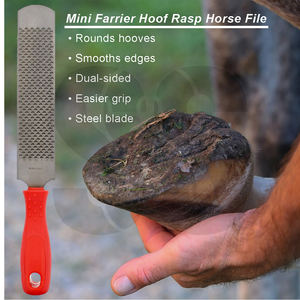 Lima para Cascos de Acero Inoxidable de Alta Resistencia, Calidad Premium, Personalizada, para el Cuidado de Caballos, Cabras y Burros, Precio al por Mayor, Nueva Llegada - Product Image 3