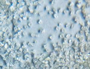 เม็ดเพชรธรรมชาติทนทานต่ออุณหภูมิสูงเคลือบป้องกันการตัดฟรีเพื่อความคมชัดที่ดีที่สุด - Product Image 4