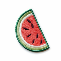 Aangepaste Decoratieve Plak Watermeloen Fruit Borduurpatches