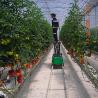 Chariot électrique télécommandé de haute qualité pour tuyaux métalliques, idéal pour serres agricoles, avec élingue à câble métallique pour légumes, capacité 0,5 tonne, garantie 2 ans