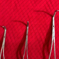 Ensemble de pinces vasculaires Satinsky DeBakey en acier inoxydable allemand, 14 cm, 16 cm, 20 cm, ensemble de pinces vasculaires chirurgicales atraumatiques, certifié CE