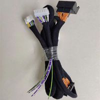 Harnais de câblage automobile OEM personnalisé de qualité supérieure, indice de protection IP67, gaine en PVC 600V, assemblage de câbles électriques haute performance et longue durée de vie