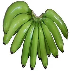 Bananes Cavendish naturelles vertes et fraîches de qualité supérieure Fabricant canadien de bananes Cavendish fraîches au prix le plus bas