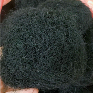 MOUSSE NOIRE PURE/REMÈDE INTEMPOREL/RENTABLE/RÉCOLTE DANS LA NATURE - Product Image 1