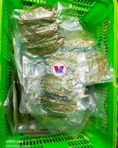 Feuilles de corossol séchées du Vietnam : Approvisionnement et qualité stables - Product Image 2