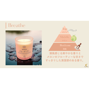 เทียนหอมอโรมาเธอราพี SelfCareJBPQ ผลิตจากขี้ผึ้งถั่วเหลือง 'Breathe' วัสดุพรีเมียมเพื่อการผ่อนคลายและบรรเทาความเครียด - Product Image 3