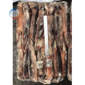 Catch150-200g sauvage rond entier congelé de haute qualité Illex Argentine calmar pour appât de thon matière première calmar Illex - Product Image 2