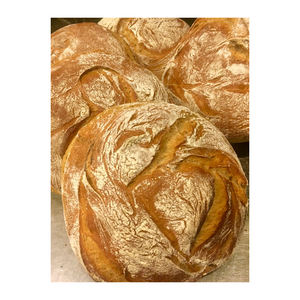 whole wheat bread mix high quality bread premix just add water