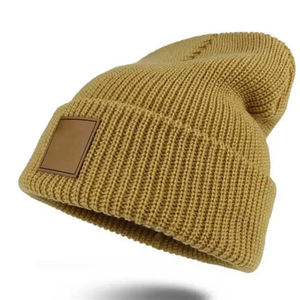 Salve Impex Own Branded High Quality Classic Grey Solid Plain Color Beanie Gorras deportivas Material de punto Gorras de béisbol baratas - Product Image 1