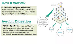 Máquina reciclable de alimentos orgánicos, suministro mundial, capacidad de 100kg/día, Exbio, para compradores globales - Product Image 6