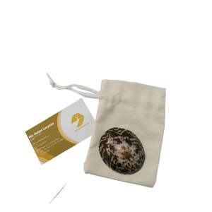 LIMPET SEASHELL SOUVENIR SHOP LIMPET PULIDO DE ALTA CALIDAD SEASHELL PARA SOUVENIR Y DECORACIÓN DE JOYERÍA EMBALAJE PERSONALIZADO - Product Image 1