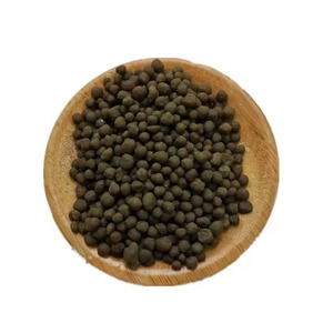 Fertilizante Orgánico con Ácido Húmico en Gránulos, Especificación de Fabricación Certificada, 99% de Pureza, Liberación Controlada, Fosfato - Product Image 6