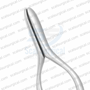 Pinzas de Alisamiento de Septum Walsham de 23 cm, Instrumento de Septoplastia Nasal ORL, Pinzas Quirúrgicas de Acero Inoxidable - Product Image 3