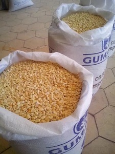 Maíz Amarillo Seco de Sudáfrica, Grado 1, 13% de Humedad, Bolsas de PP de 25/50 kg, Puro y Natural para Alimentación Animal - Product Image 3