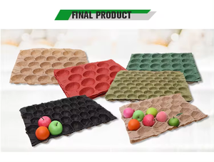 DEMETER High-Efficiency PLC-Controlled Dual <strong>Layer</strong> Fruit Tray Liner <strong>Machine</strong> with Motor-Driven Operation - Product Image 2